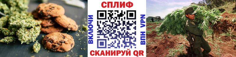 Еда ТГК конопля  Губкинский 