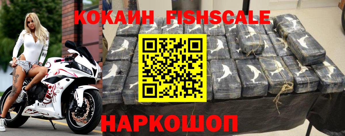 Губкинский  Cocaine Fish Scale  Вход с VPN  Cocaine  Cocaine Перу 