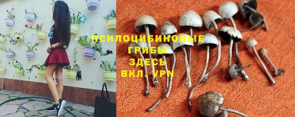 твердый Валуйки