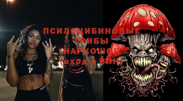 гидра Зеленокумск