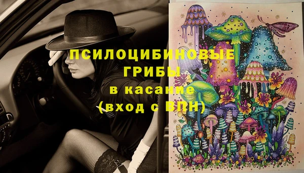 мдпв Зеленодольск