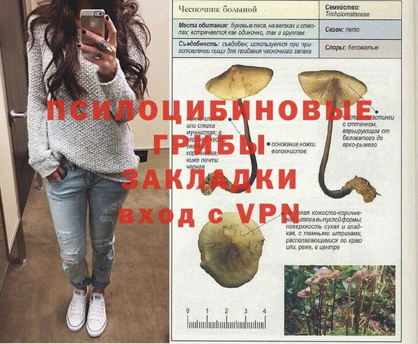 винт Няндома