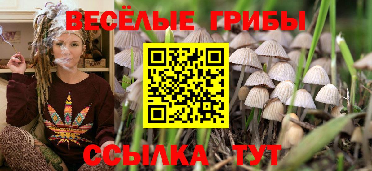 Галлюциногенные грибы Magic Shrooms  Галлюциногенные грибы Psilocybe  Губкинский 