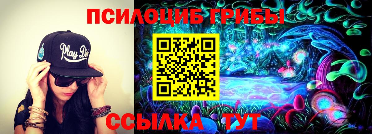 наркотики  Вход с VPN  Губкинский  Псилоцибиновые грибы MAGIC MUSHROOMS 